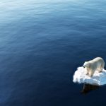 Trois ans pour limiter les dégâts du réchauffement climatique… réchauffement climatique