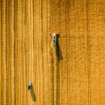 Agriculture et élevage : À la recherche d’un modèle mondial Agriculture