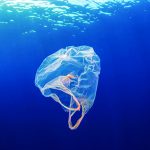 Carbios, une technologie d’exception face aux polluants plastiques et textiles