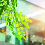 Enky, la défense d’un mobilier d’époque !